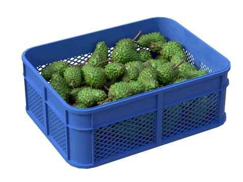 Soursop Plastic Crate 3D Model