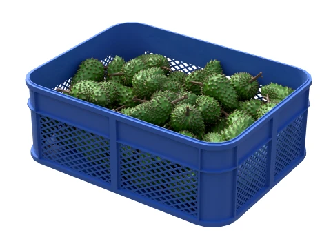 Soursop Plastic Crate 3D Model