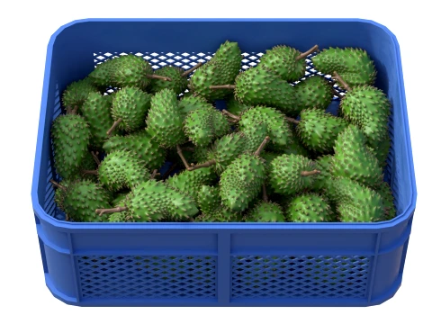 Soursop Plastic Crate 3D Model