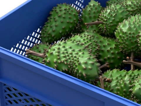 Soursop Plastic Crate 3D Model
