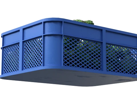 Soursop Plastic Crate 3D Model