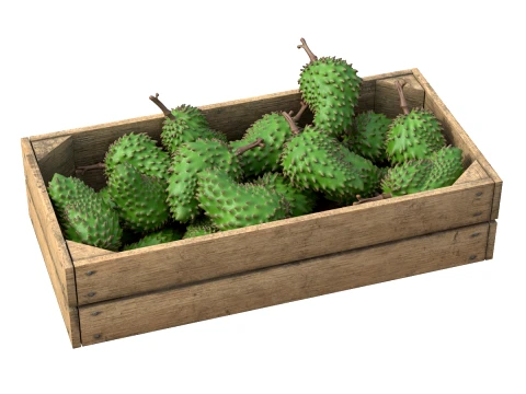 Soursop Wooden Crate 3D Model