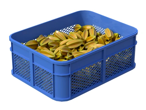 Starfruit Plastic Crate 3D Model