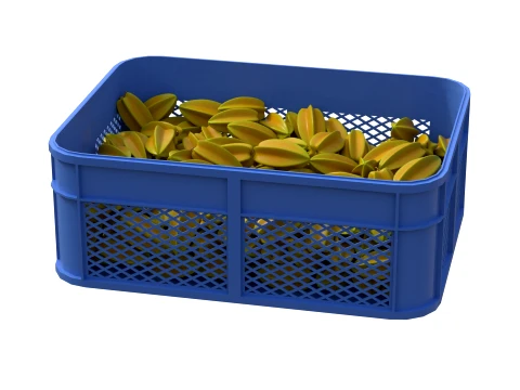Starfruit Plastic Crate 3D Model