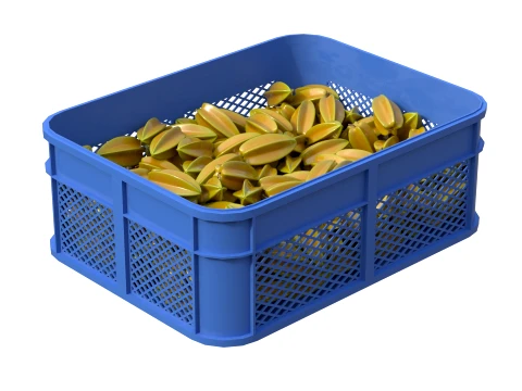 Starfruit Plastic Crate 3D Model