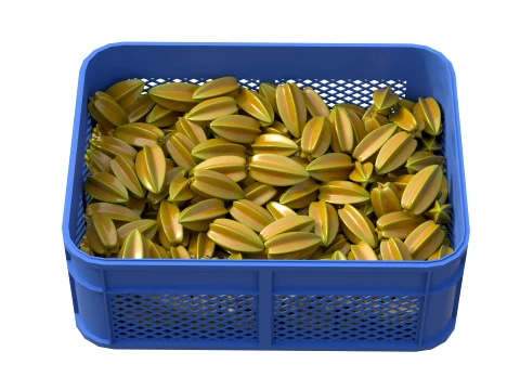 Starfruit Plastic Crate 3D Model