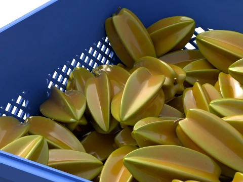 Starfruit Plastic Crate 3D Model