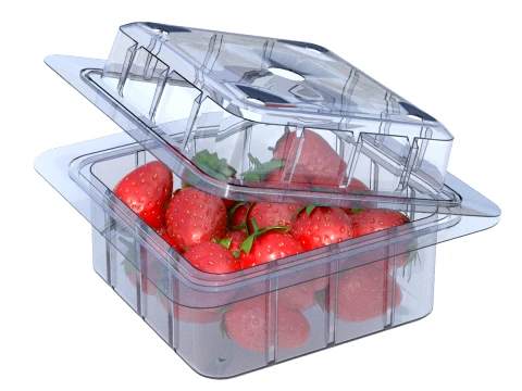 Strawberry Fruit Box Plastic Transparent 3D Model
