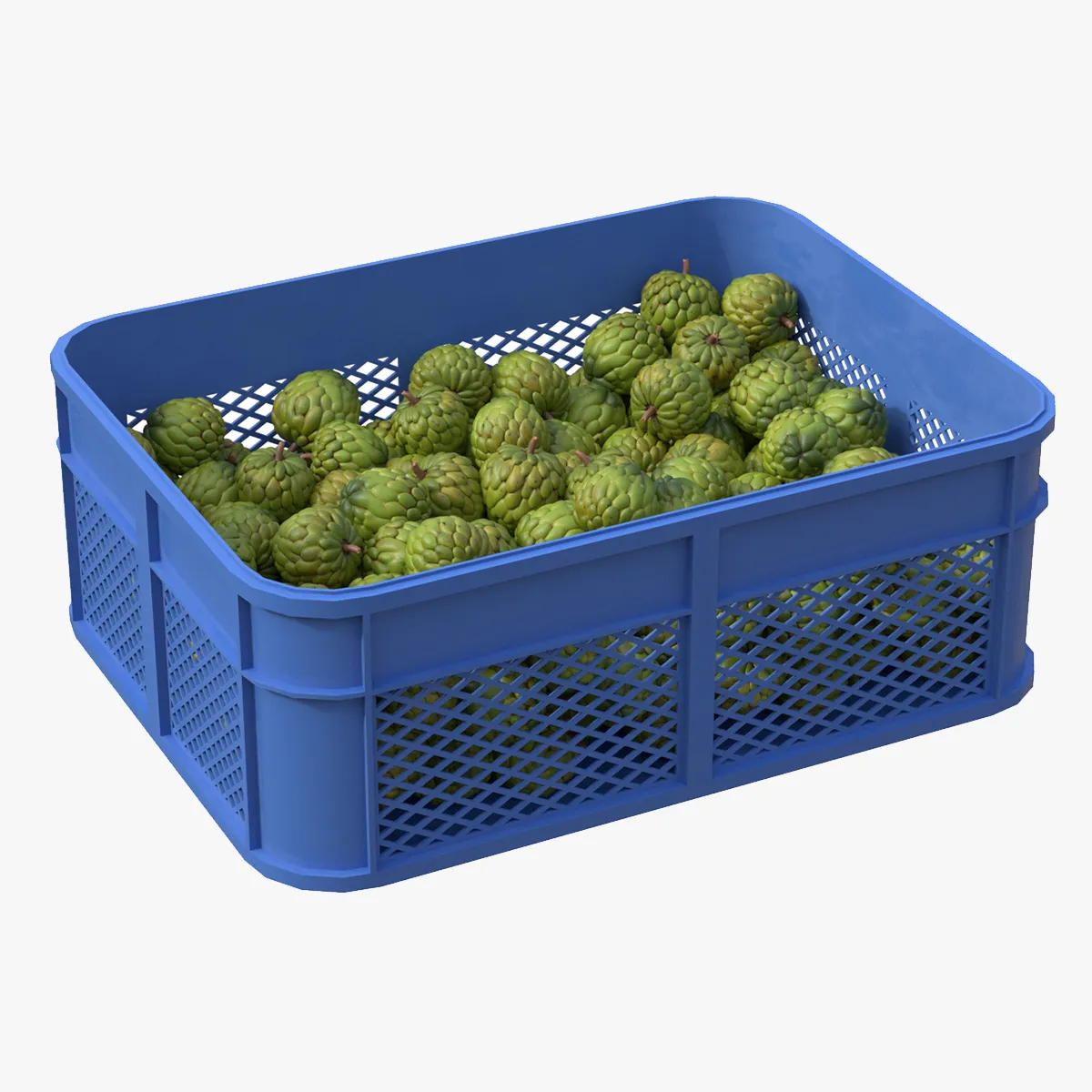 Sugar Apple Plastic Crate 3D Model .c4d .max .obj .3ds .fbx .stl .blend 