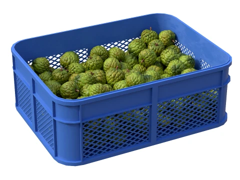 Sugar Apple Plastic Crate 3D Model