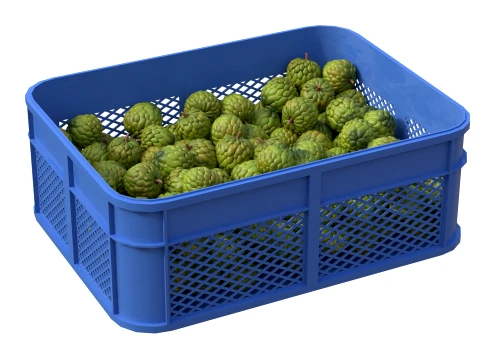 Sugar Apple Plastic Crate 3D Model