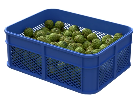 Sugar Apple Plastic Crate 3D Model