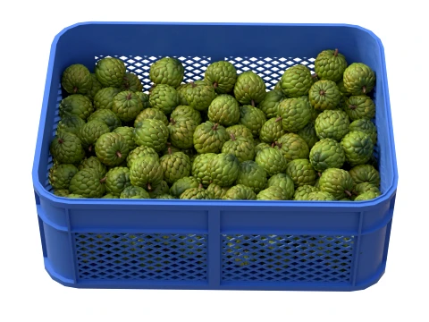Sugar Apple Plastic Crate 3D Model