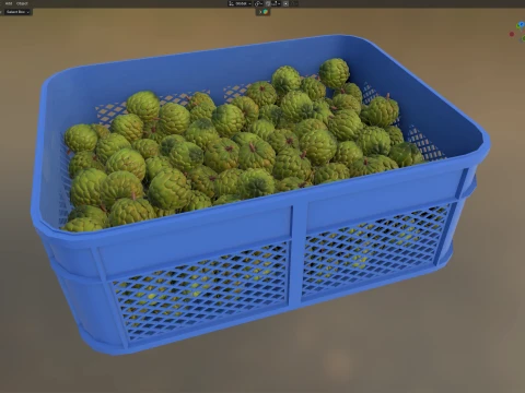 Sugar Apple Plastic Crate 3D Model