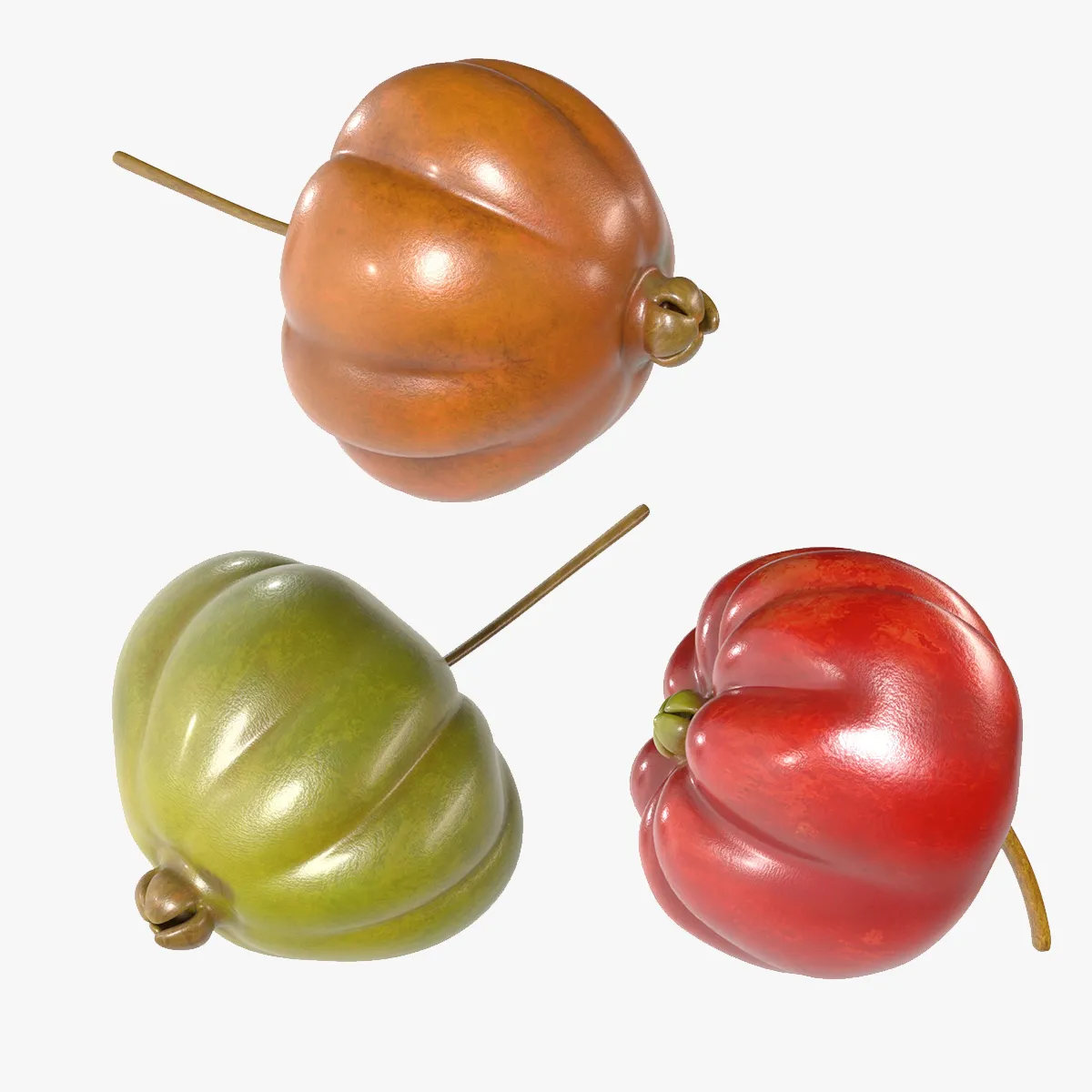 Surinam Cherry 3D Model .c4d .max .obj .3ds .fbx .stl .blend 