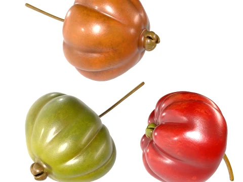 Surinam Cherry 3D Model