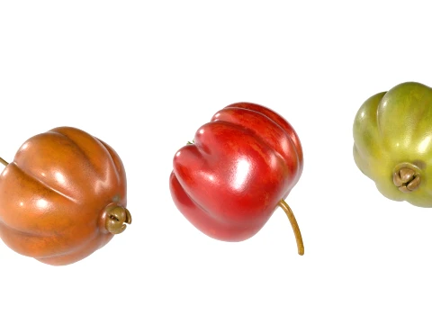 Surinam Cherry 3D Model