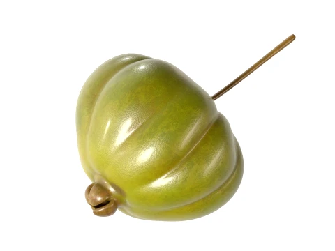Surinam Cherry 3D Model