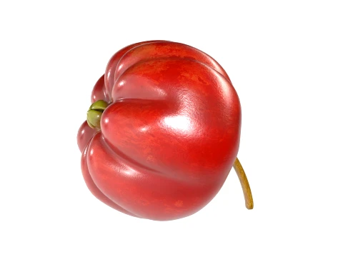 Surinam Cherry 3D Model