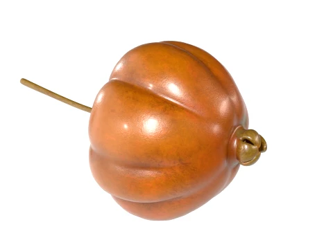 Surinam Cherry 3D Model