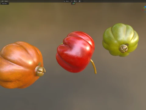 Surinam Cherry 3D Model
