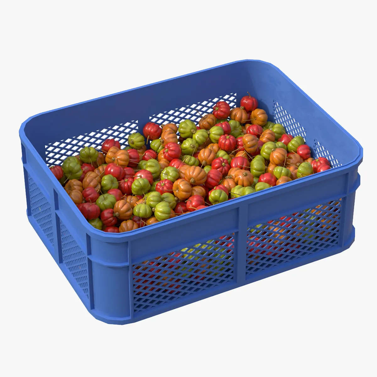 Surinam Cherry Plastic Crate 3D Model .c4d .max .obj .3ds .fbx .stl .blend 