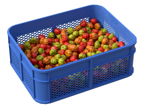 Surinam Cherry Plastic Crate 3D Model
