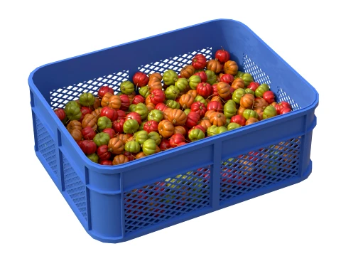 Surinam Cherry Plastic Crate 3D Model