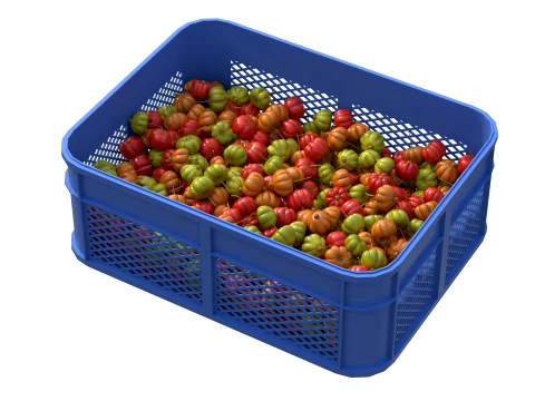 Surinam Cherry Plastic Crate 3D Model