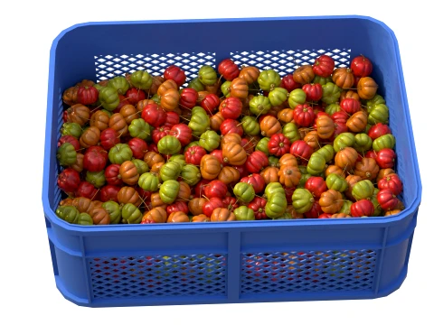 Surinam Cherry Plastic Crate 3D Model