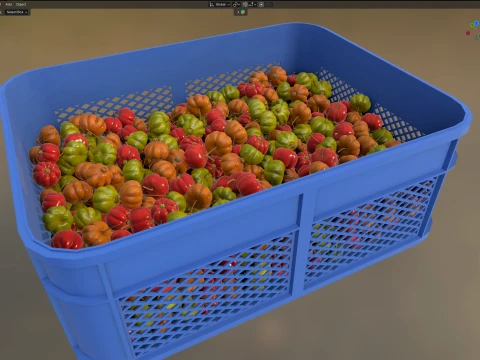 Surinam Cherry Plastic Crate 3D Model