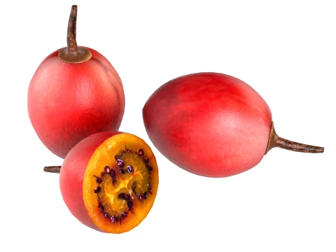 Tamarillo-Frucht 3D Modell