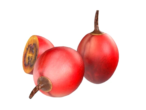 Tamarillo Fruit 3D Model