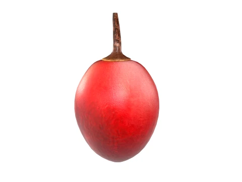 Tamarillo Fruit 3D Model