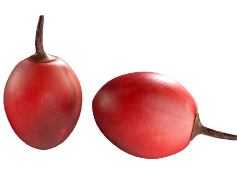 Tamarillo Fruit 3D Model