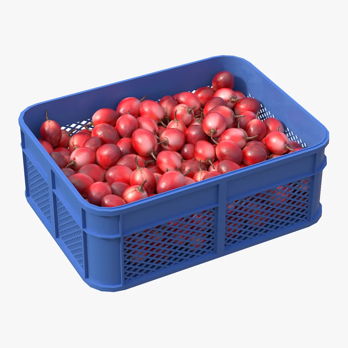 Tamarillo Plastic Crate 3D Model .c4d .max .obj .3ds .fbx .stl .blend