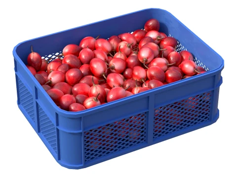 Tamarillo-Kunststoffkiste 3D Modell