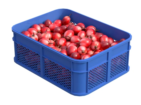 Tamarillo Plastic Crate 3D Model