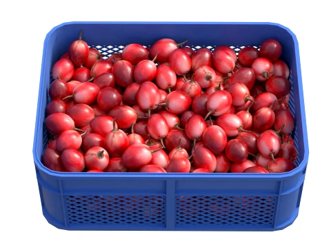 Tamarillo Plastic Crate 3D Model