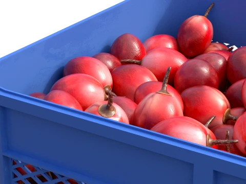 Tamarillo Plastic Crate 3D Model