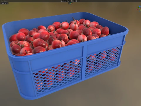 Tamarillo Plastic Crate 3D Model