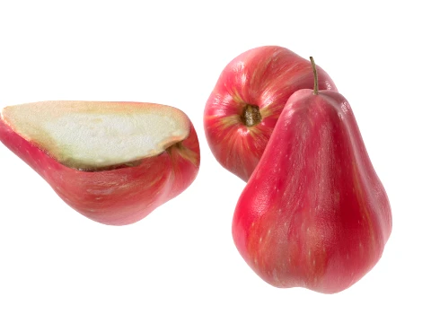 Water Java Apple 3D Model