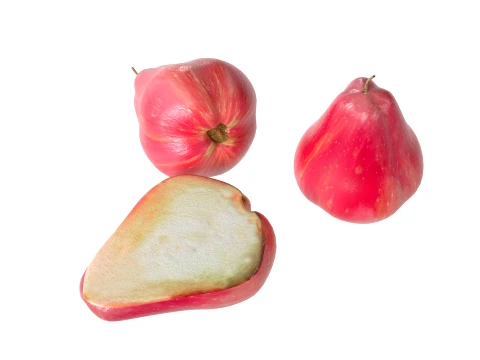 Water Java Apple 3D Model