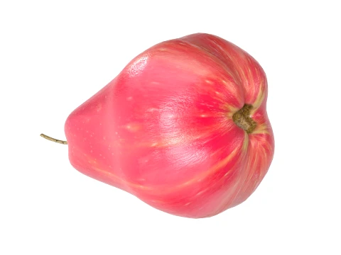 Water Java Apple 3D Model