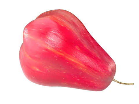Water Java Apple 3D Model