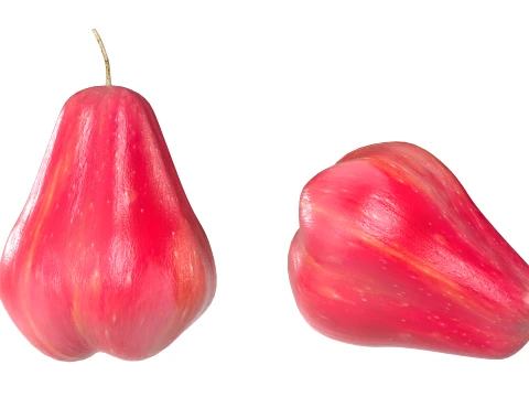 Water Java Apple 3D Model