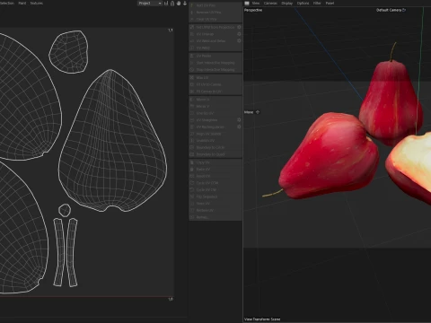 Water Java Apple 3D Model