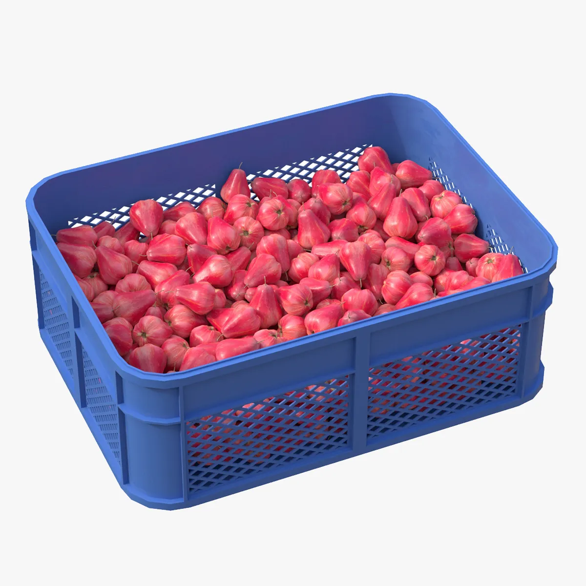 Water Java Apple Plastic Crate 3D Model .c4d .max .obj .3ds .fbx .stl .blend 