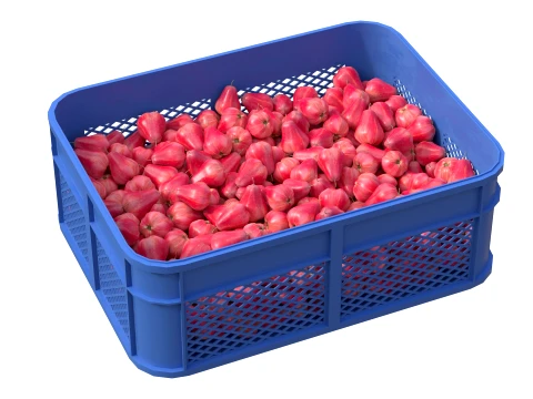 Water Java Apple Plastic Crate 3D Model