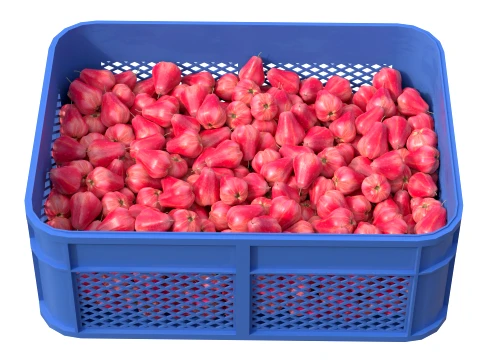 Water Java Apple Plastic Crate 3D Model